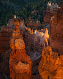 Pinnacles
