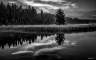 Hosmer Lake Reflections