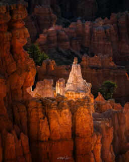 Cathedral Rock