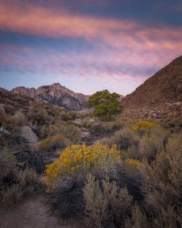 Consolation Gulch