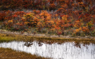 Colorful Reflections 