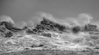 Windswept