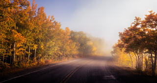 morning fog on a road with fall foliage 