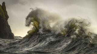 Ocean Motion