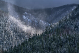 Winter Layers
