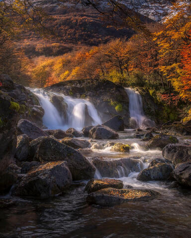 Patagonia