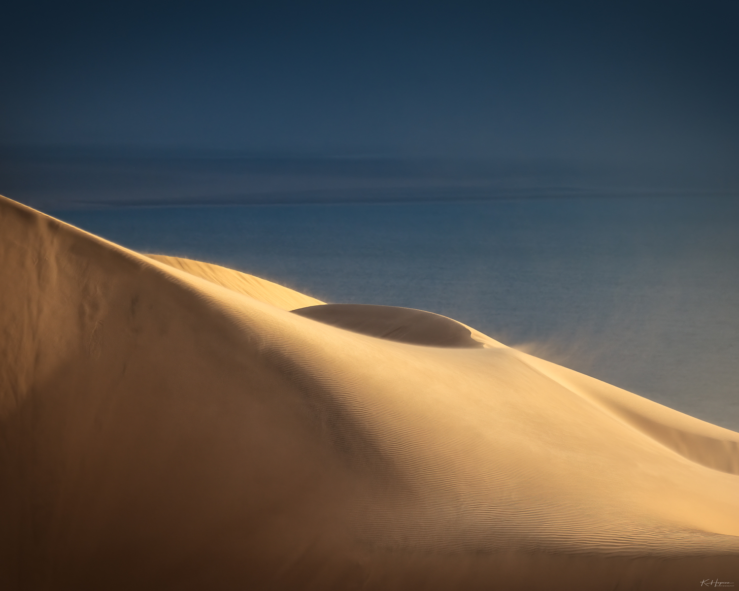 windswept sand dune on the atlantic ocean with warm and cool tones